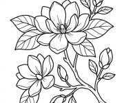 Coloriage Branche de fleur Magnolia