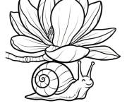 Coloriage Escargot et fleur Magnolia