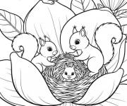 Coloriage Famille d'&eacute;cureuil dans la fleur de Magnolia