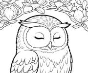 Coloriage Hibou sous le Magnolia