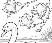 Coloriage L'oie et Magnolia