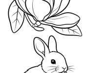 Coloriage Lapin et Magnolia