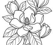 Coloriage Magnolia adorable