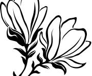 Coloriage Magnolia artistique
