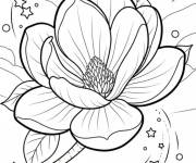 Coloriage Magnolia avec des &eacute;toiles