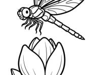 Coloriage Magnolia avec une insecte qui survole