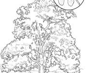 Coloriage Magnolia de Mississippi
