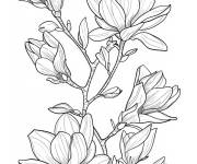 Coloriage Magnolia en cartoon