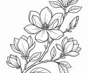 Coloriage Magnolia en ligne