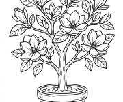 Coloriage Magnolia en pot