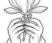 Coloriage Magnolia entre les mains