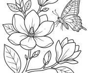 Coloriage Magnolia et papillon