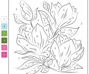 Coloriage Magnolia par num&eacute;ro de 1 &agrave; 6
