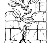 Coloriage Magnolia qui pousse dans le mur
