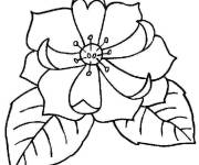 Coloriage Magnolia simple