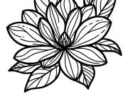 Coloriage Magnolia styl&eacute;