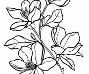 Coloriage Magnolia style dessin anim&eacute;