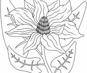 Coloriage Magnolia violet magnifique