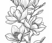 Coloriage Mod&egrave;le de fleur Magnolia