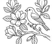 Coloriage Oiseau sur le Magnolia