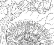 Coloriage Paon et grosse Magnolia