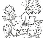 Coloriage Papillon sur le Magnolia