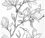 Coloriage Paysage naturel de Magnolia avec un oiseau