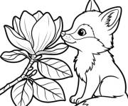 Coloriage Petit renard devant le Magnolia