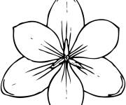 Coloriage et dessins gratuit Petite fleur de magnolia à imprimer