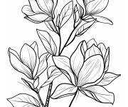 Coloriage Plante de Magnolia fleuri