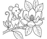 Coloriage Souris et Magnolia