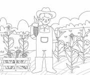 Coloriage Agriculteur tenant du ma&iuml;s