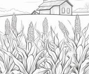 Coloriage Belle ferme de ma&iuml;s
