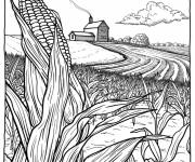 Coloriage Champs des ma&iuml;s dans la compagne