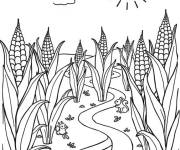 Coloriage Charme de ma&iuml;s charmant