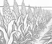 Coloriage Ferme de ma&iuml;s