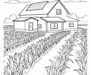 Coloriage Ferme de ma&iuml;s avec maison au centre