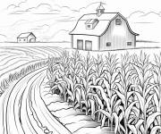 Coloriage Ferme de ma&iuml;s d&eacute;taill&eacute;
