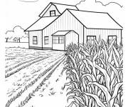 Coloriage Ferme de Ma&iuml;s illustr&eacute;
