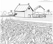 Coloriage Ferme de Ma&iuml;s indien