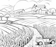 Coloriage Ferme de ma&iuml;s pittoresque