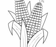 Coloriage Fruit Ma&iuml;s