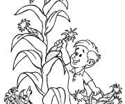 Coloriage Gar&ccedil;on r&eacute;colte le gros Ma&iuml;s