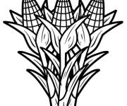 Coloriage Grappe de ma&iuml;s