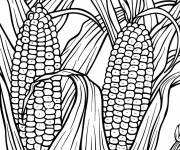 Coloriage Gros ma&iuml;s &eacute;ducatif