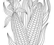 Coloriage Gros plante de Ma&iuml;s