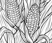 Coloriage Illustration de ma&iuml;s &agrave; impri