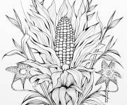 Coloriage Illustration de Ma&iuml;s complexe