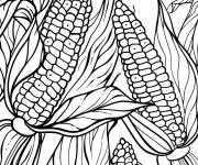 Coloriage Illustration de ma&iuml;s &eacute;ducatif