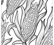 Coloriage Illustration de ma&iuml;s l&eacute;gumes